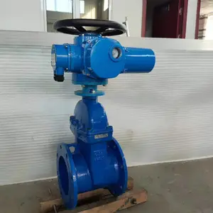 常州良仪自控 电动闸阀 法兰式 软密封 Z945X-16 DN200