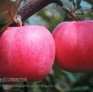 ��˶ƻ����ɽ���������� ��˶ƻ�������Ǯһ�� ��˶ƻ�������
