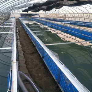 新型帆布养鱼养虾技术打破技术传统