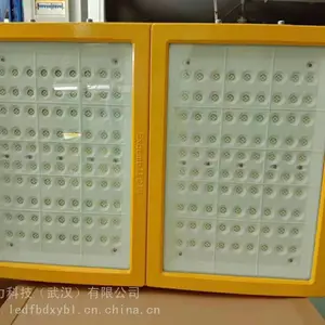 武汉 LED防爆投光灯