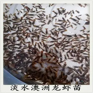 ��ˮ��Ϻ ��ˮ��ֳ�߽�Ϻ ����Ϻ��߲���