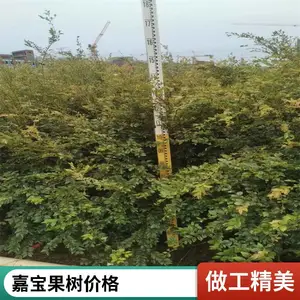 �α����� �䱦�� ����ֱ�� ũ����ֲ�������� ȫ������