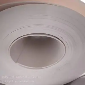 ����PTFE�� �����ڳĴ��Ͼ��ķ���ϩ�幤�̻����ķ���������ɫ