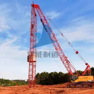 �㶫��������ǿ����ǿ�����ż�