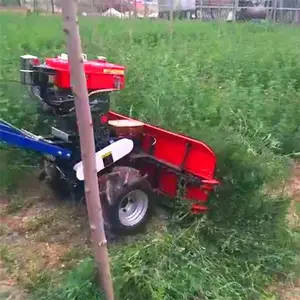 ����ʽ֥���ո�� �����������ݸ�ɹ��