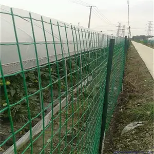 ����Ȧ����˿���۸��Ż�