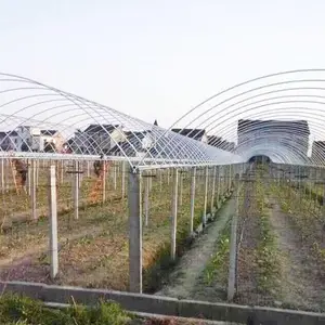 车厘子联动棚娄底新化大棚椭圆管