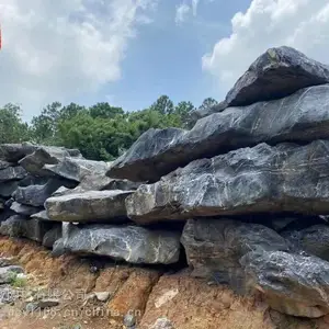 太湖石天然原石假山石人工湖驳岸石庭院园林造景石批发