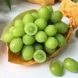 ���ֳ�������õ����������� ���۱��������õ����������