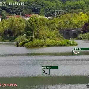 Play Ӣ������AI�ǻ�����۲� AI����ʶ����Ⱥʶ��ϵͳ