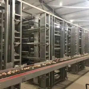 �ȶ�п������ �Ĳ㵰���� �������� ȫ�Զ����� ι�ϻ�