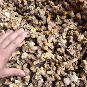 中药材射干种植技术射干种子自产自销一手货源