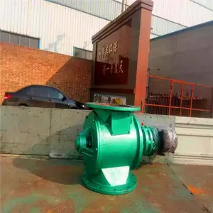 锁气阀设备定制-锁气阀-泊头市华英环保