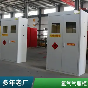 CHENGLIN/成霖实验室全钢防爆气瓶柜 气体钢瓶储存柜