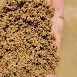 普陀区码头黄沙水泥 来电咨询 上海万初建筑工程供应