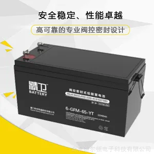 科华蓄电池精卫系列6-GFM-38-YT 12V38AH铅酸免维护蓄电池