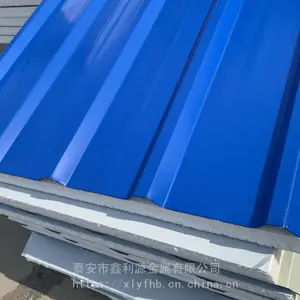 5cm˫��ʸ����޼�о���ϰ� �ֽṹ��ǽ���������