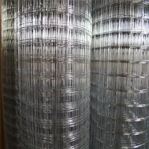 ���͵纸�� �ĽǶ�п��˿�� ��п��˿������ �γǶ�п��˿��
