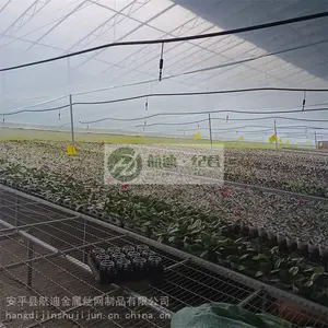 �����紲��-��п�紲��-��������湩Ӧ-�����紲ũҵ