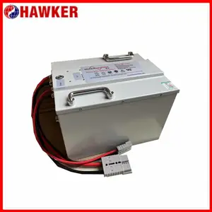 AGVС��EV48-80/100���˷���ר�ô�����48V80/100AH������﮵��