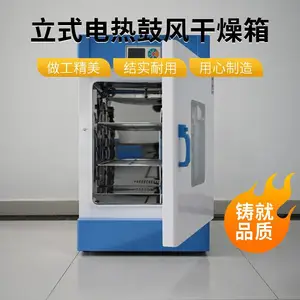 芃奇仪器 RGL立式电热鼓风干燥箱 304不锈钢内胆 智能液晶控温