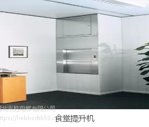 专业生产TWJ-100型学校食堂传菜电梯