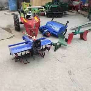 �����ַ���������¢�� 15���������� ����������