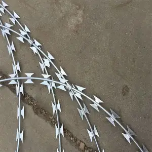 ������·���� ��˿���������� ***��Ƭ����