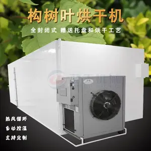 ����Ҷ��ɻ� �ȱ���Ҷ��Ҷ����Ҷ��ɷ� ��ҩ�Ĺ���Ҷ����Ҷ�����