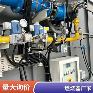 岱鼎燃烧 油气开采水套炉燃气燃烧器 焦炉煤气燃烧系统转炉煤气烧嘴