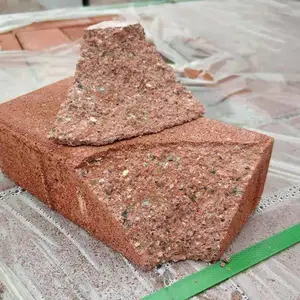 ����������ש ͸ˮש��ȹ��� ֣��͸ˮש����ֱ��