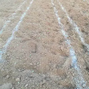 半夏种植技术,半夏种植,半夏种植基地