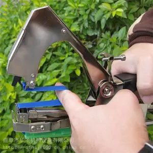 ���տ��̶�������֦�� ��Чʡ���ƹϰ����� ��ʥ