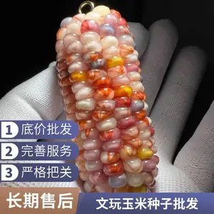 特种玉米种子 宝血玉米种子 2025新上市的宝血玉米种子