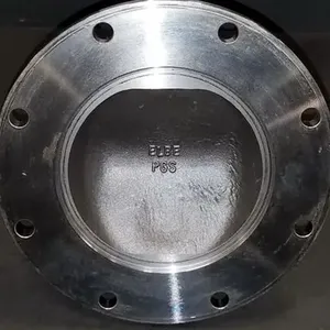 �¹�ELBE������������ 0.600ϵ�д�����ʮ����