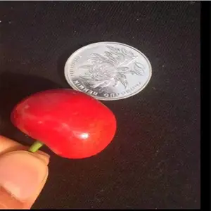 �����Ӵ�ӣ���� ���ż��� ˧��԰�ճ� ���������� ����ֱ��