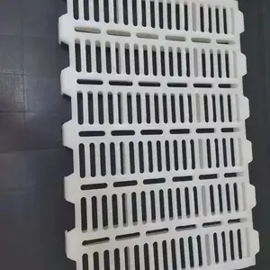 ������������©��� ����©���� �����������Ϸ��