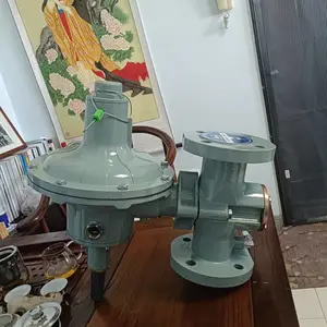 ȼ����ѹ�� 299H��ѹ�� ����RAYGAS ��������