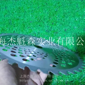 �ܿ�ɭ40�߸�ݻ��������ݵ�Ƭ԰�ֻ�е���