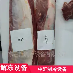 ��Ӧˮ��΢���ⶳ�豸 ����ʽ����ɱ����е ����΢���ⶳ�����豸