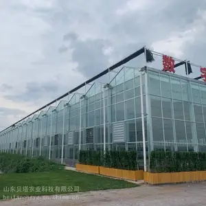 新疆温室工程 玻璃大棚建设 玻璃大棚 玻璃大棚建设 山东贝塔农业