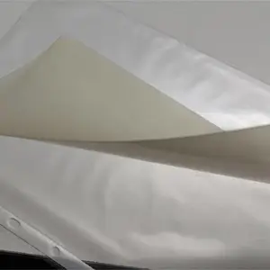 �¹�FUMATECH�����ӽ���Ĥfumasepȼ�ϵ��PEM
