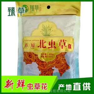 臻草北虫草批发300克、东北鲜品北虫草虫草花厂家