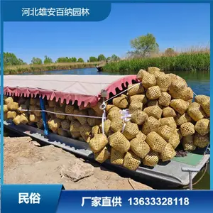 鸭蛋包装箱、批发蛋篓、鸡蛋篓、螃蟹篓、鸭蛋包装箱