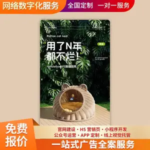 官网建设搭建 手机电脑两用 跨境视觉设计 全国服务