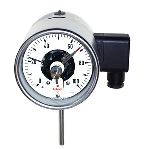 LABOM�ʲ����������¶ȼ�NS100/160���ع��ܼ�ʽ����FU2460
