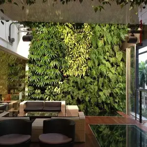 湖南长沙植物墙设计施工***湖南绿蚁人