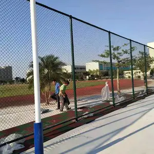 �˶���ƹ������������ ����������Χ��������
