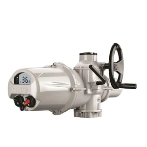 IQ35Ӣ�����п˵綯ִ���� 600NM���п�ִ�л������п˷���