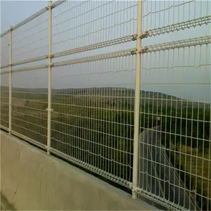 ���� ���������� ��·������ ��·������ ǿ�ȸ� �͸�ʴ ������������
